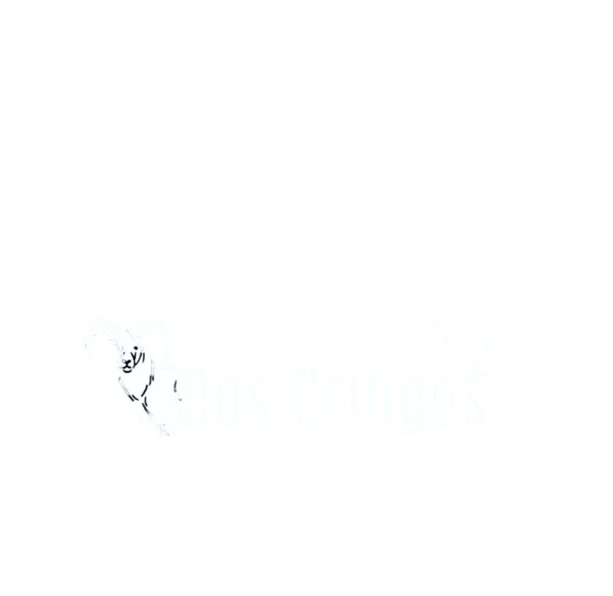 Dos Gringos Branding